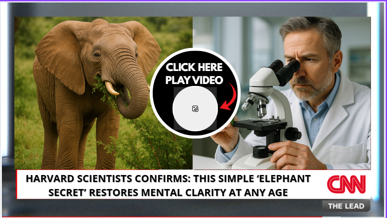 Watch the full report