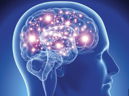 YHP Health logo (brain icon)